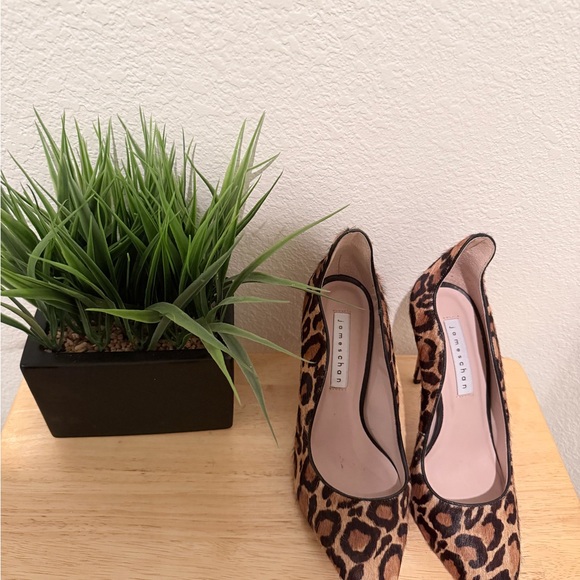 James Chan - Picture 1 of 7